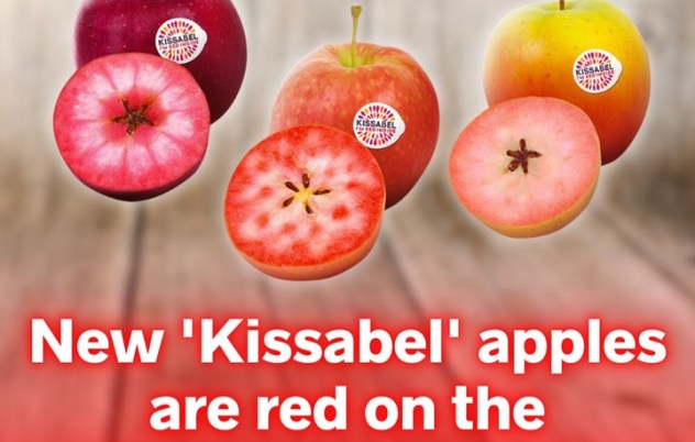 New ‘Kissabel’ apples, which are…